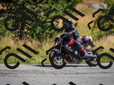 202507201043-DSC_9341_c2