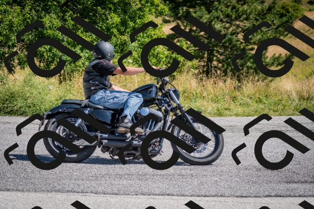 202507201045-DSC_9358_c2