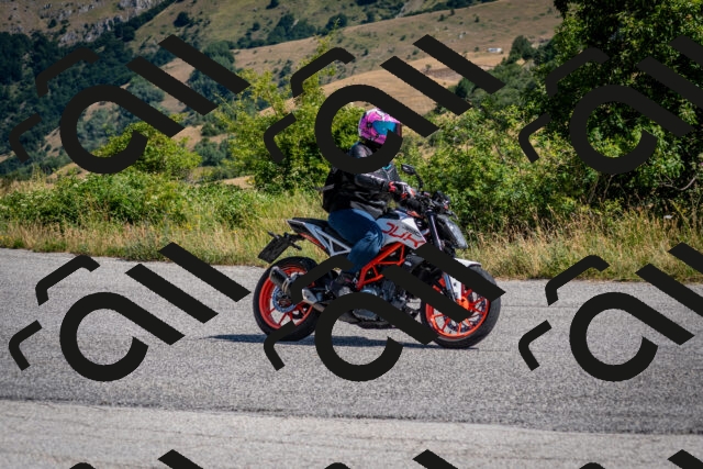 202507201048-DSC_9376_c2