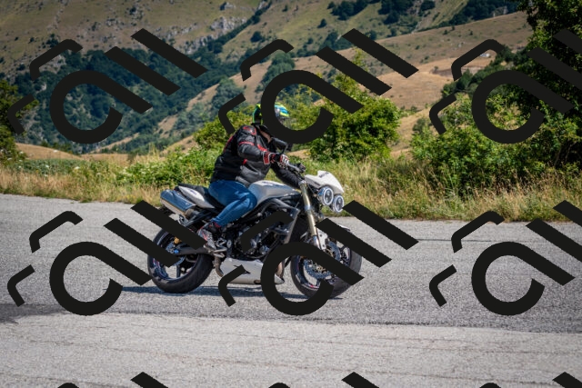 202507201048-DSC_9377_c2