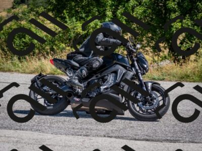 202507201052-DSC_9428_c2