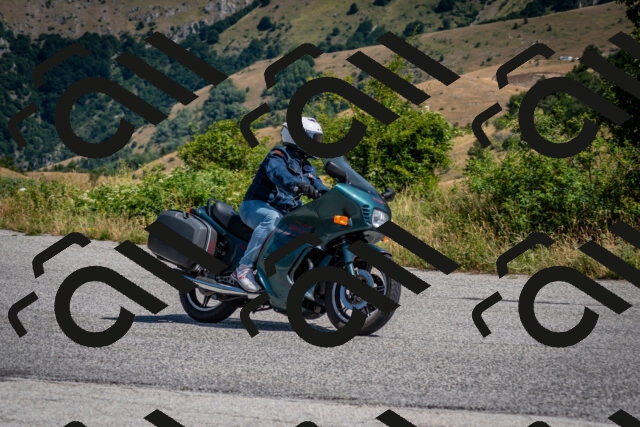 202507201102-DSC_9509_c2