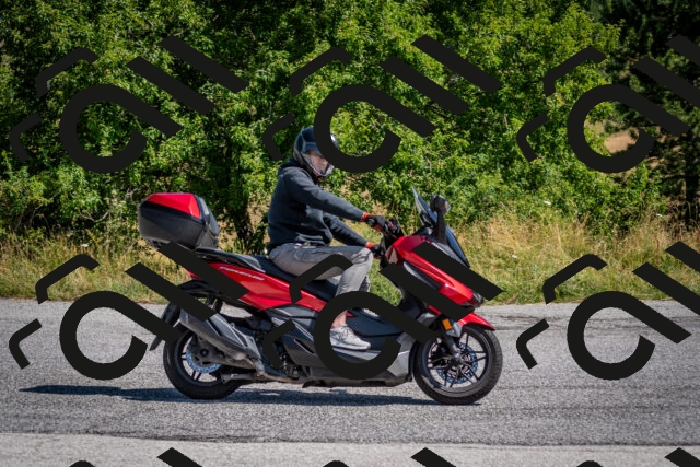 202507201106-DSC_9535_c2