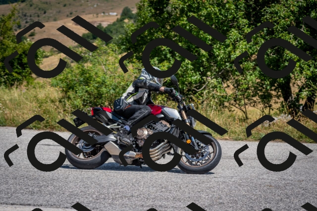 202507201205-DSC_0189_c2