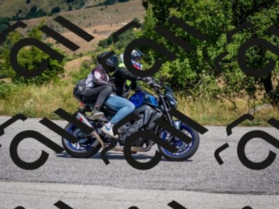 202507201207-DSC_0217_c2