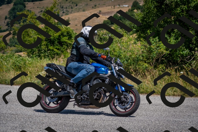 202507201215-DSC_0310_c2