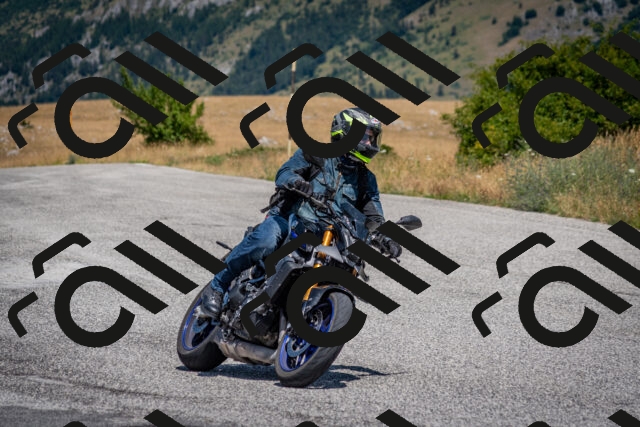 202507201216-DSC_0312_c2