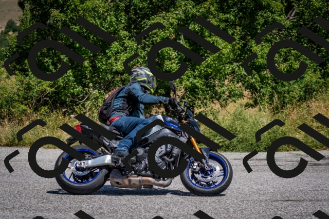 202507201216-DSC_0314_c2