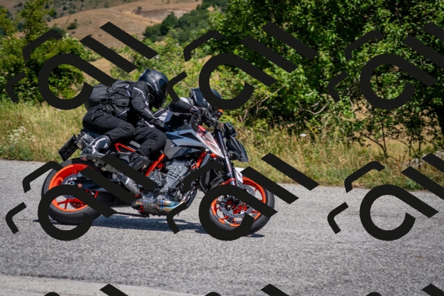 202507201217-DSC_0338_c2