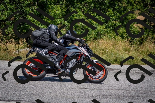 202507201217-DSC_0339_c2