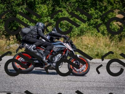 202507201217-DSC_0339_c2