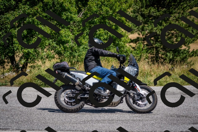 202507201217-DSC_0350_c2