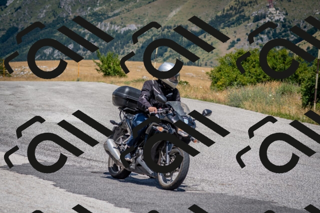 202507201217-DSC_0351_c2