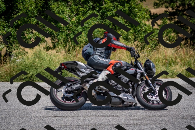 202507201220-DSC_0381_c2