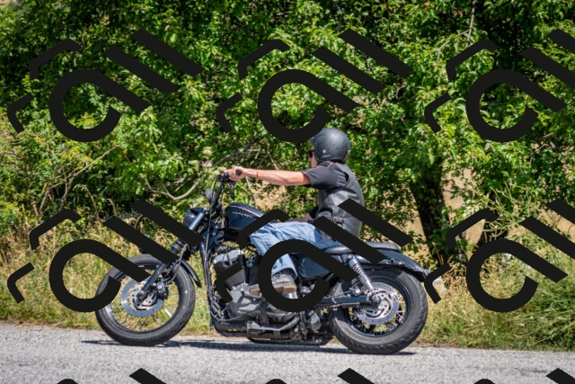 202507201221-DSC_0387_c2