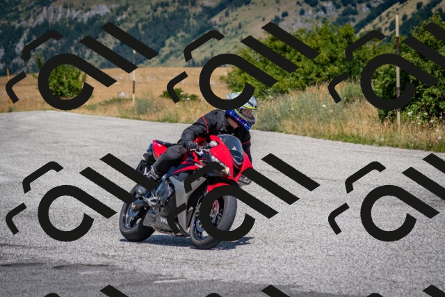 202507201224-DSC_0429_c2