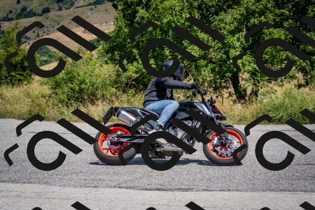 202507201224-DSC_0433_c2