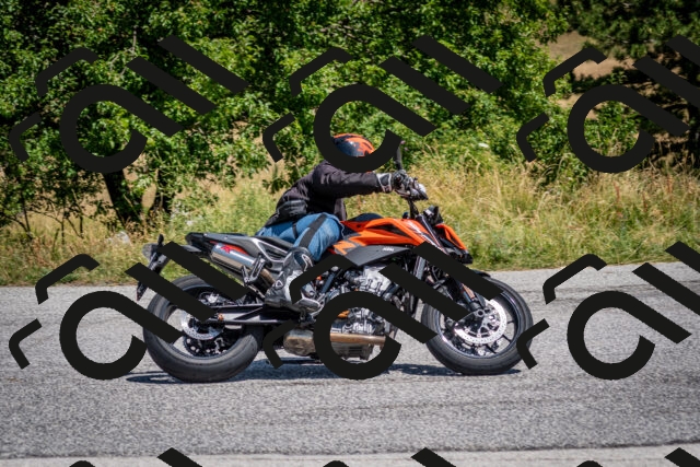 202507201224-DSC_0435_c2