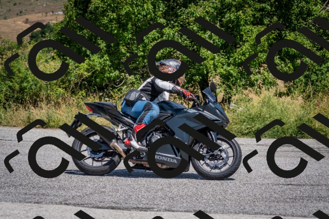 202507201226-DSC_0448_c2