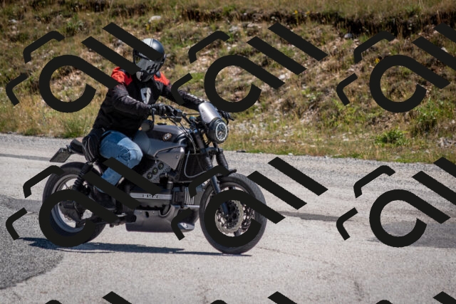 202507201229-DSC_0464_c2