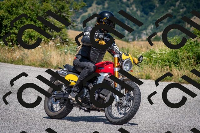 202507201231-DSC_0500_c2