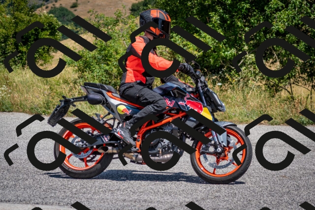 202507201231-DSC_0503_c2