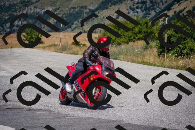 202507201233-DSC_0553_c2