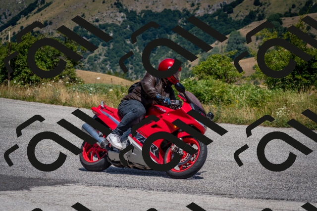 202507201233-DSC_0554_c2