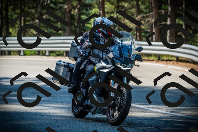 202507191006-DSC02674_c1_