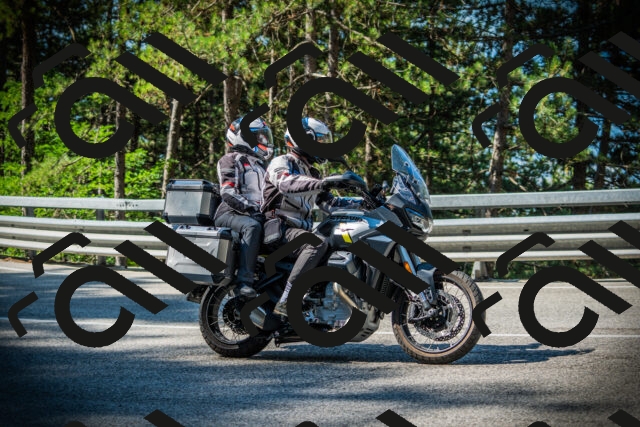 202507191006-DSC02675_c1_