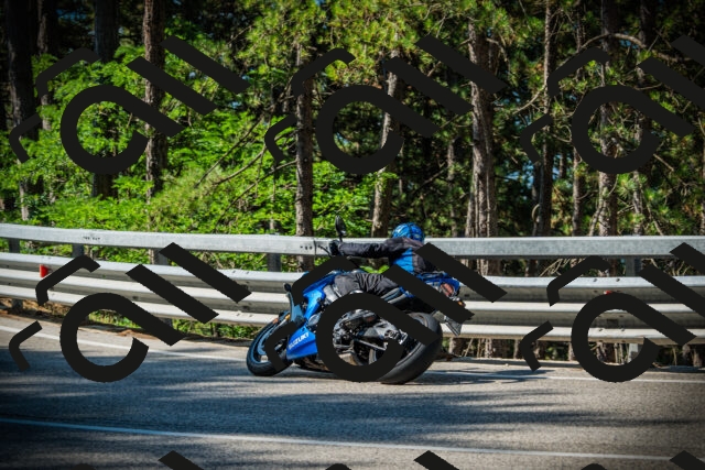 202507191007-DSC02680_c1_