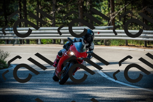 202507191008-DSC02682_c1_