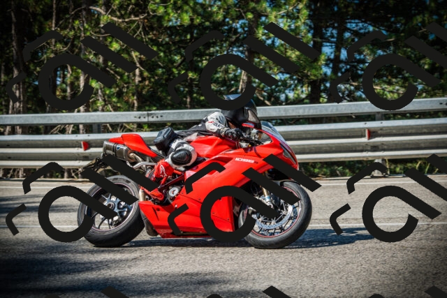 202507191008-DSC02683_c1_