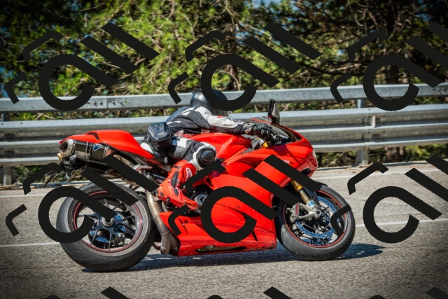 202507191008-DSC02684_c1_