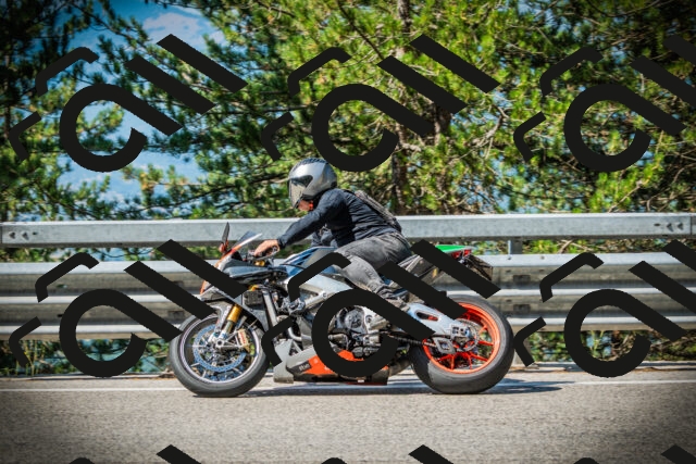 202507191009-DSC02687_c1_