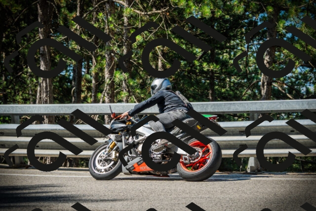 202507191009-DSC02688_c1_