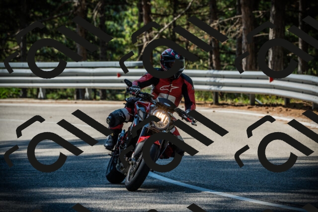 202507191009-DSC02691_c1_