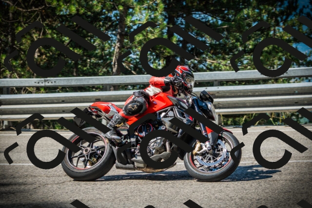 202507191009-DSC02692_c1_