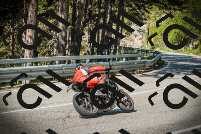 202507191009-DSC02694_c1_