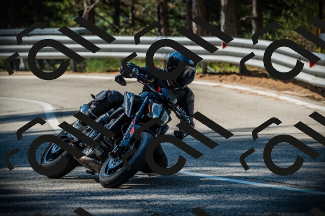 202507191010-DSC02696_c1_