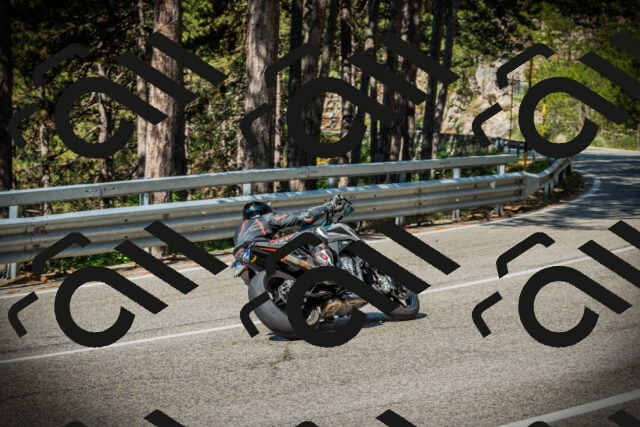 202507191010-DSC02698_c1_