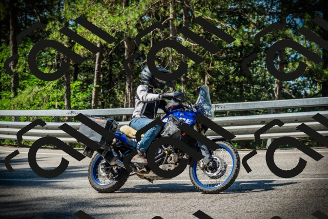 202507191013-DSC02706_c1_