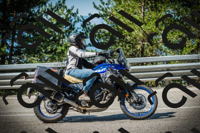 202507191013-DSC02707_c1_