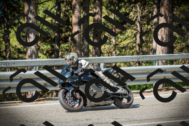 202507191014-DSC02709_c1_