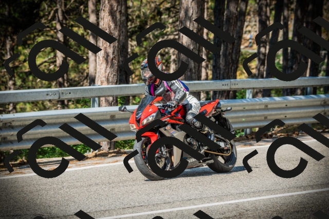 202507191014-DSC02723_c1_