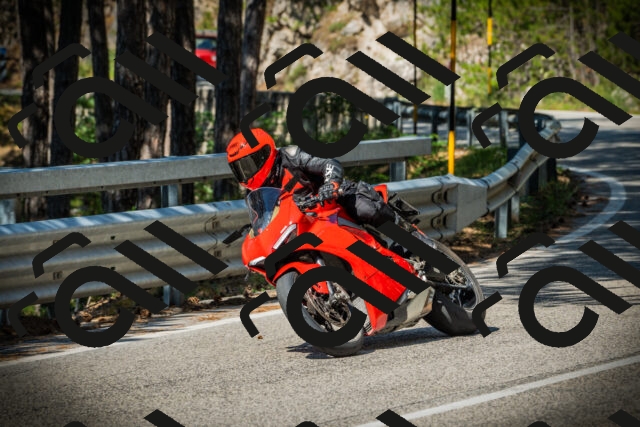 202507191015-DSC02728_c1_