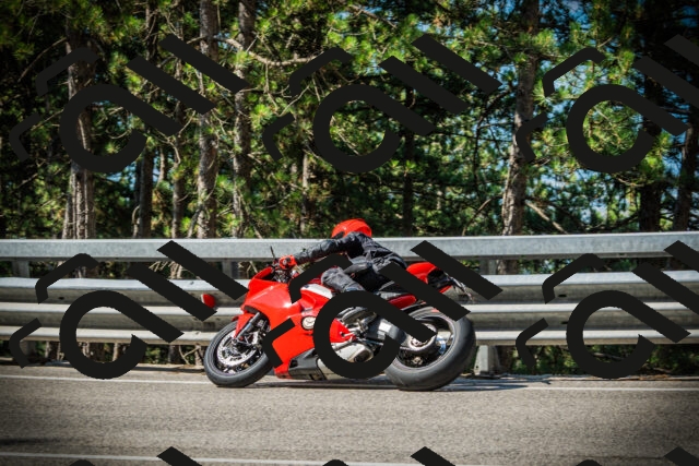 202507191015-DSC02730_c1_