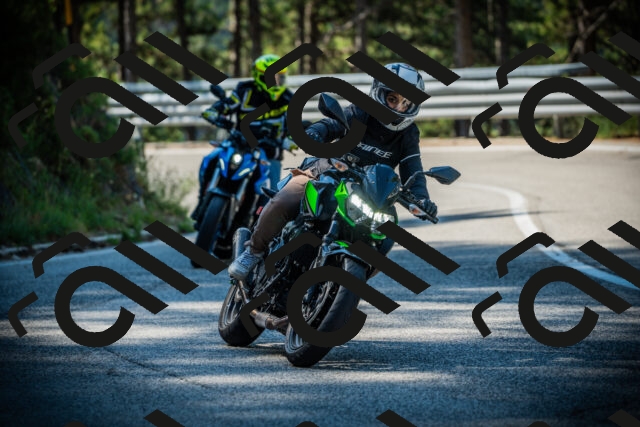 202507191016-DSC02733_c1_