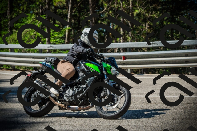 202507191016-DSC02734_c1_