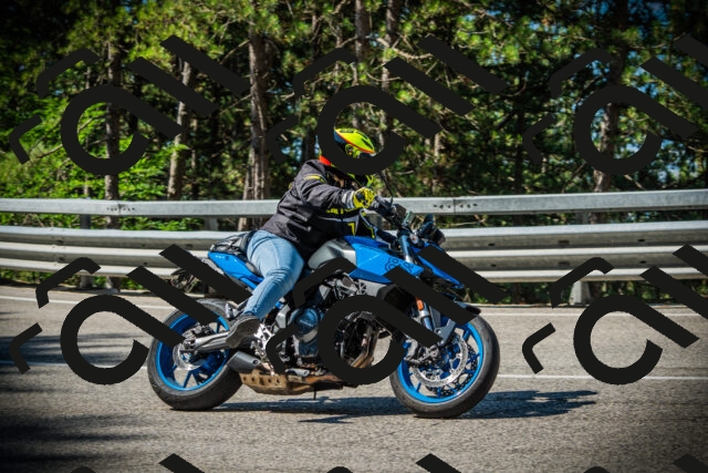 202507191016-DSC02735_c1_